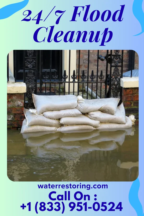 24/7 Flood Cleanup in Bath, WV