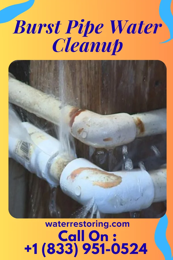 Burst Pipe Water Cleanup in Bath, WV