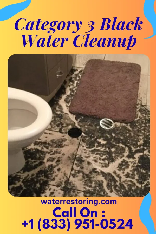 Category 3 Black Water Cleanup in Bath, WV
