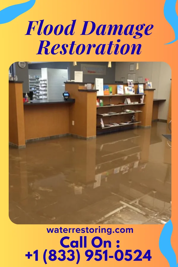 Flood Damage Restoration in Bath, WV