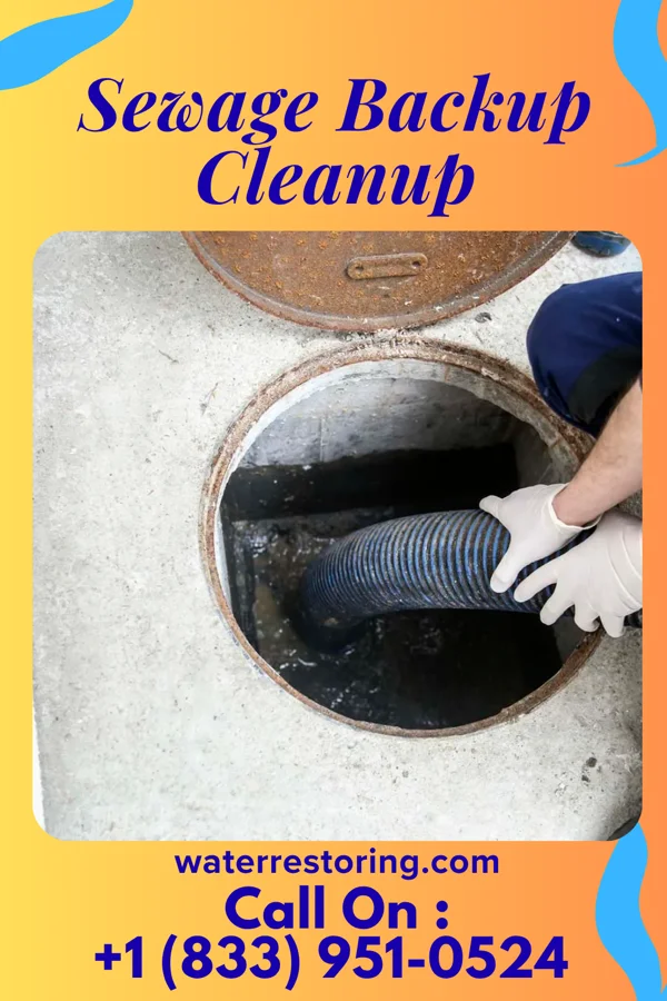 Sewage Backup Cleanup in Bath, WV