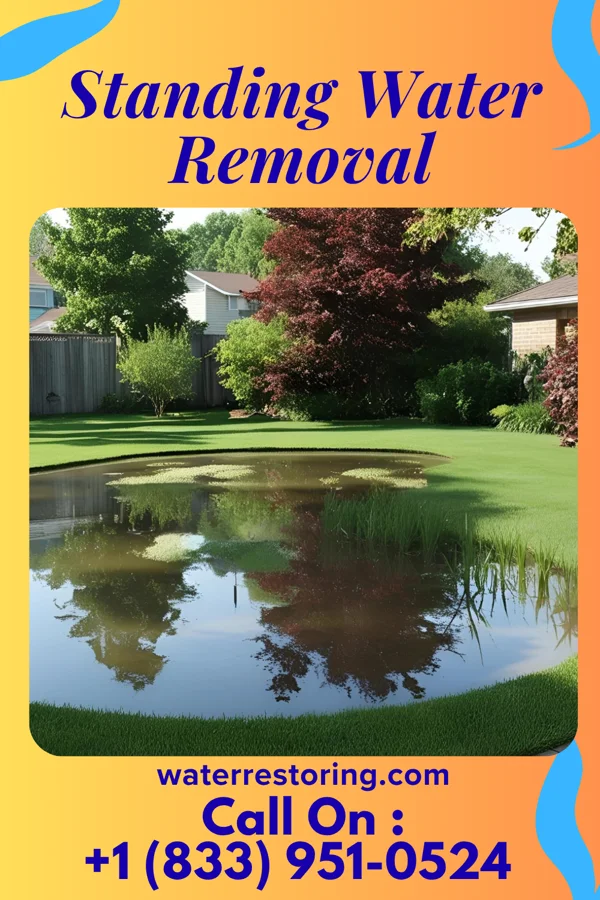 Standing Water Removal in Bath, WV